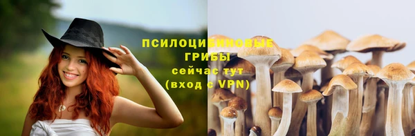 хмурый Магадан