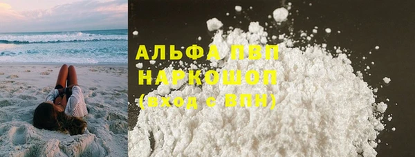 хмурый Ладушкин