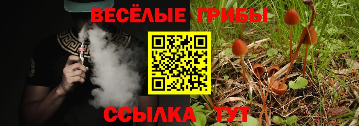 Псилоцибиновые грибы мухоморы Тейково