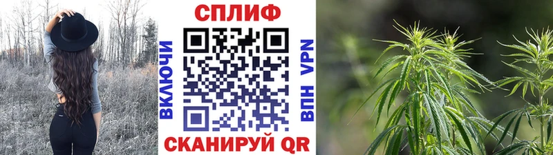 Бошки марихуана семена  Тейково 
